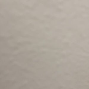 Meet your Posher, Bridget